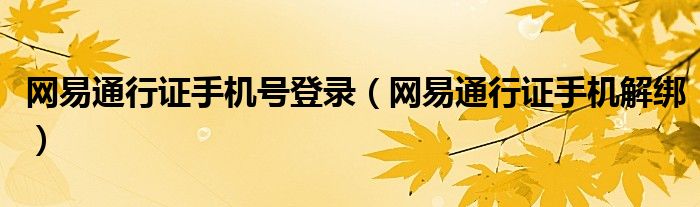 网易通行证手机号登录（网易通行证手机解绑）