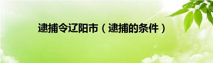 逮捕令辽阳市（逮捕的条件）