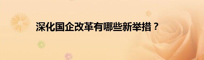 深化国企改革有哪些新举措？