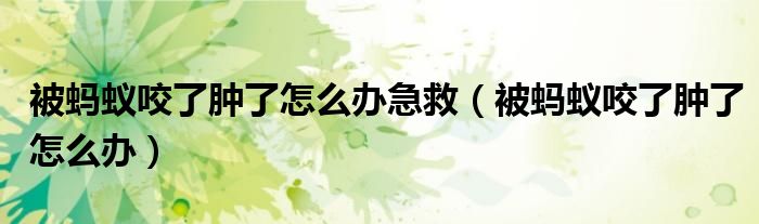 被蚂蚁咬了肿了怎么办急救（被蚂蚁咬了肿了怎么办）
