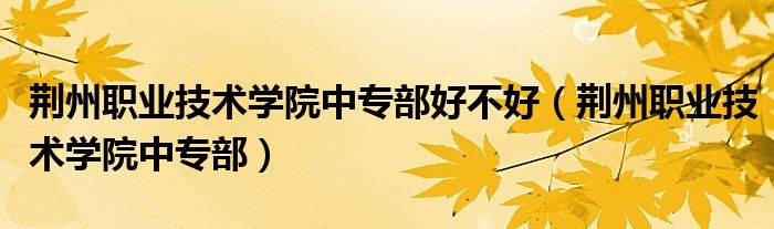 荆州职业技术学院中专部好不好（荆州职业技术学院中专部）