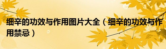 细辛的功效与作用图片大全（细辛的功效与作用禁忌）