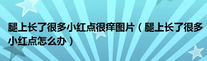 腿上长了很多小红点很痒图片（腿上长了很多小红点怎么办）