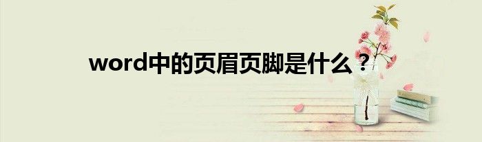 word中的页眉页脚是什么？