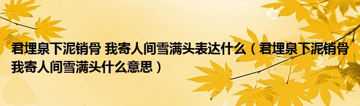 君埋泉下泥销骨 我寄人间雪满头表达什么（君埋泉下泥销骨我寄人间雪满头什么意思）
