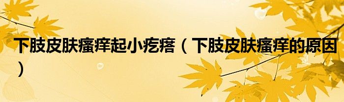 下肢皮肤瘙痒起小疙瘩（下肢皮肤瘙痒的原因）