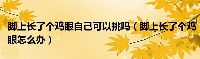脚上长了个鸡眼自己可以挑吗（脚上长了个鸡眼怎么办）
