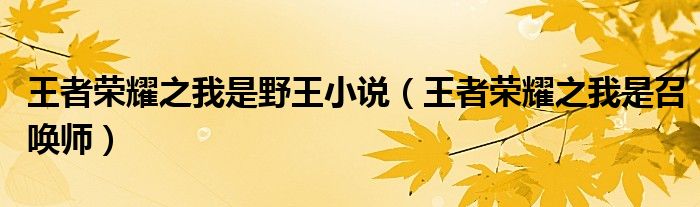 王者荣耀之我是野王小说（王者荣耀之我是召唤师）