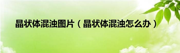 晶状体混浊图片（晶状体混浊怎么办）