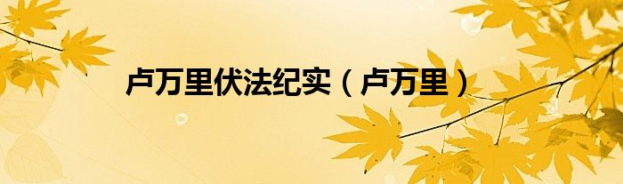 卢万里伏法纪实（卢万里）