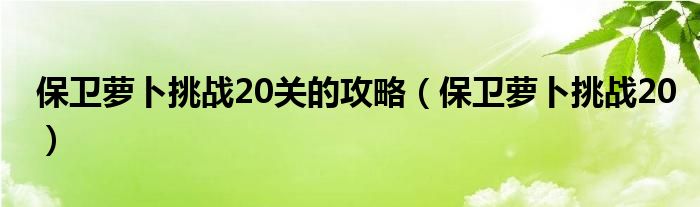 保卫萝卜挑战20关的攻略（保卫萝卜挑战20）