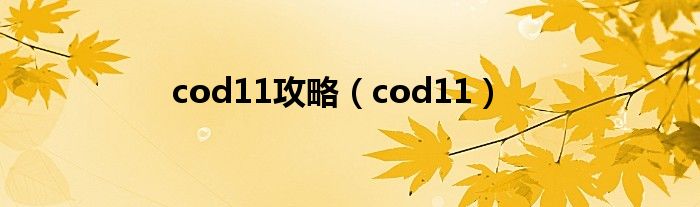 cod11攻略（cod11）