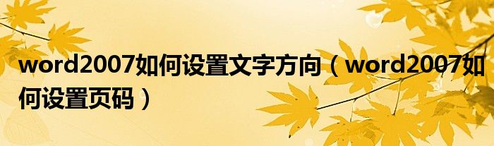 word2007如何设置文字方向（word2007如何设置页码）