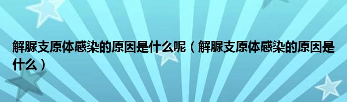 解脲支原体感染的原因是什么呢（解脲支原体感染的原因是什么）