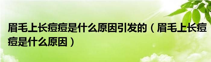 眉毛上长痘痘是什么原因引发的（眉毛上长痘痘是什么原因）