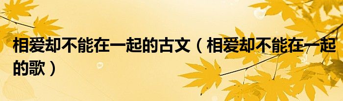 相爱却不能在一起的古文（相爱却不能在一起的歌）