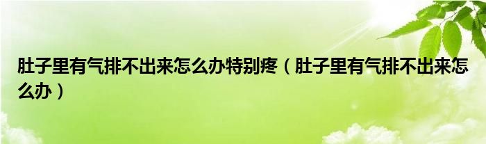 肚子里有气排不出来怎么办特别疼（肚子里有气排不出来怎么办）