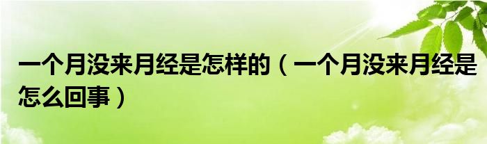一个月没来月经是怎样的（一个月没来月经是怎么回事）