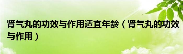 肾气丸的功效与作用适宜年龄（肾气丸的功效与作用）