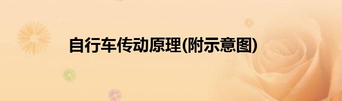 自行车传动原理(附示意图)