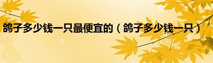 鸽子多少钱一只最便宜的（鸽子多少钱一只）