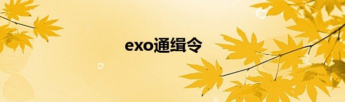 exo通缉令