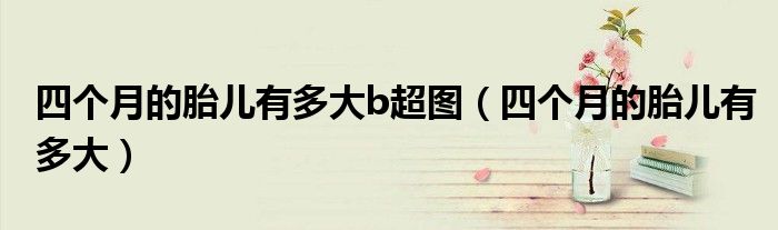 四个月的胎儿有多大b超图（四个月的胎儿有多大）