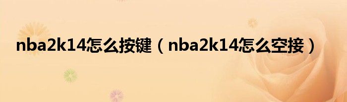 nba2k14怎么按键（nba2k14怎么空接）