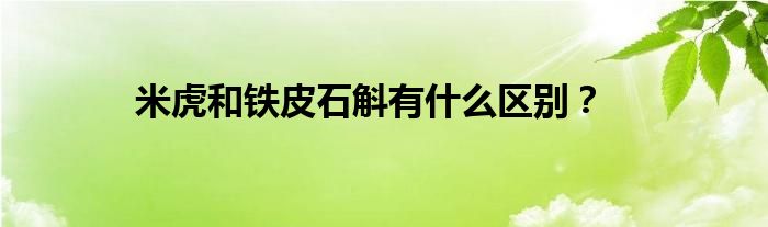 米虎和铁皮石斛有什么区别？
