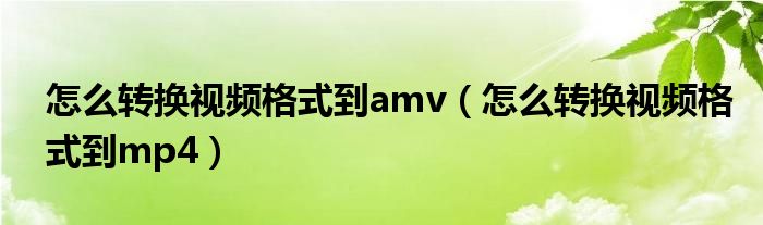 怎么转换视频格式到amv（怎么转换视频格式到mp4）