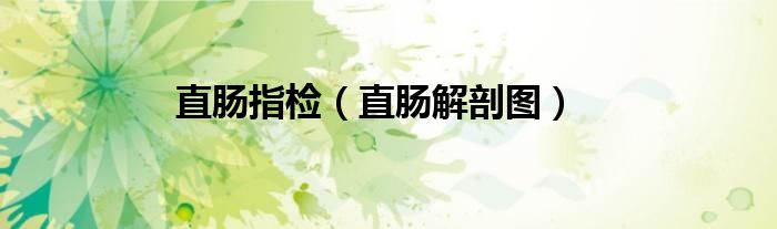 直肠指检（直肠解剖图）