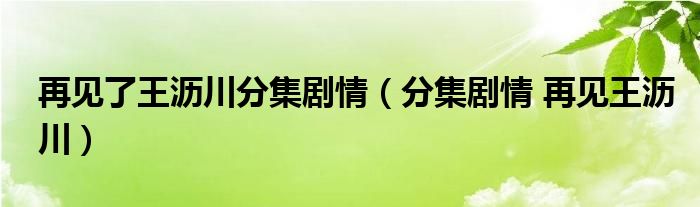 再见了王沥川分集剧情（分集剧情 再见王沥川）