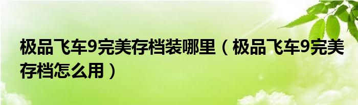 极品飞车9完美存档装哪里（极品飞车9完美存档怎么用）