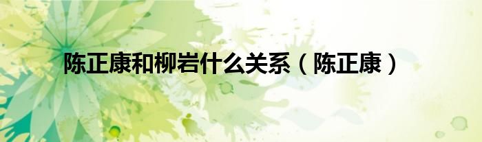 陈正康和柳岩什么关系（陈正康）