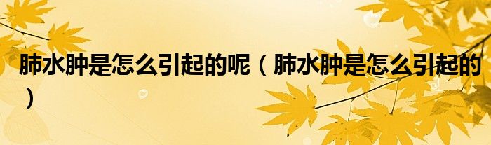 肺水肿是怎么引起的呢（肺水肿是怎么引起的）