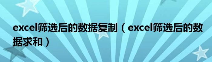 excel筛选后的数据复制（excel筛选后的数据求和）