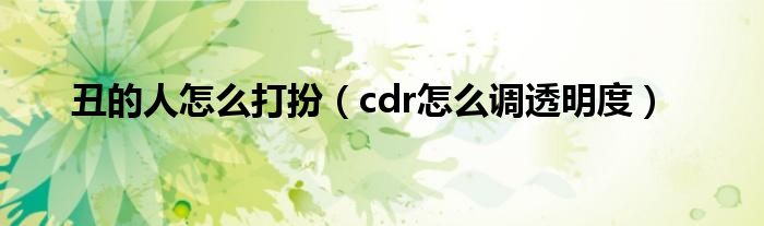 丑的人怎么打扮（cdr怎么调透明度）