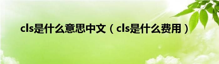 cls是什么意思中文（cls是什么费用）