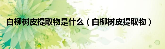 白柳树皮提取物是什么（白柳树皮提取物）