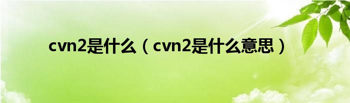cvn2是什么（cvn2是什么意思）