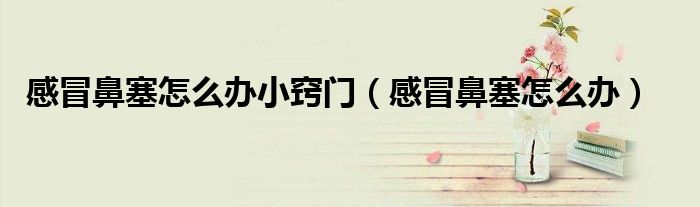 感冒鼻塞怎么办小窍门（感冒鼻塞怎么办）