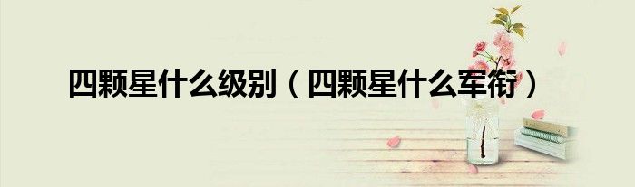 四颗星什么级别（四颗星什么军衔）