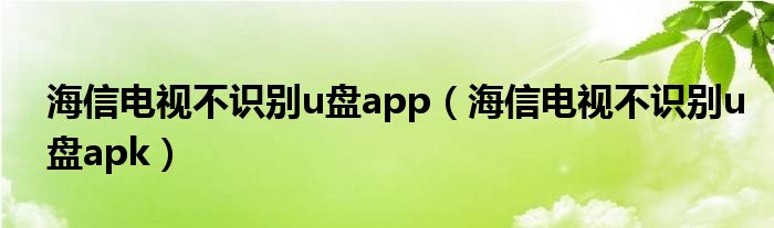 海信电视不识别u盘app（海信电视不识别u盘apk）