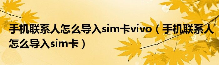 手机联系人怎么导入sim卡vivo（手机联系人怎么导入sim卡）