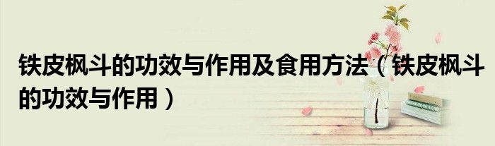 铁皮枫斗的功效与作用及食用方法（铁皮枫斗的功效与作用）