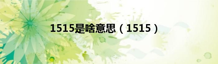 1515是啥意思（1515）