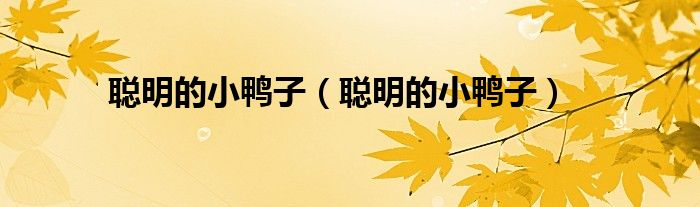 聪明的小鸭子（聪明的小鸭子）