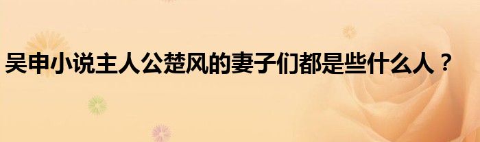吴申小说主人公楚风的妻子们都是些什么人？