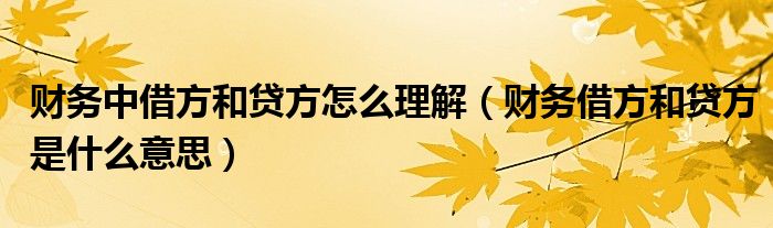 财务中借方和贷方怎么理解（财务借方和贷方是什么意思）