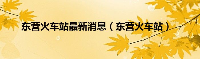 东营火车站最新消息（东营火车站）